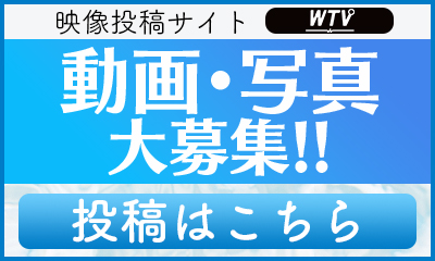 映像投稿サイト